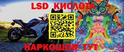 винт Кимры