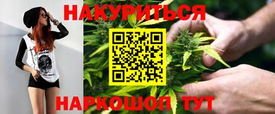 МДПВ Кингисепп
