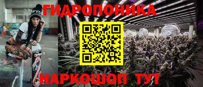 МДПВ Кингисепп