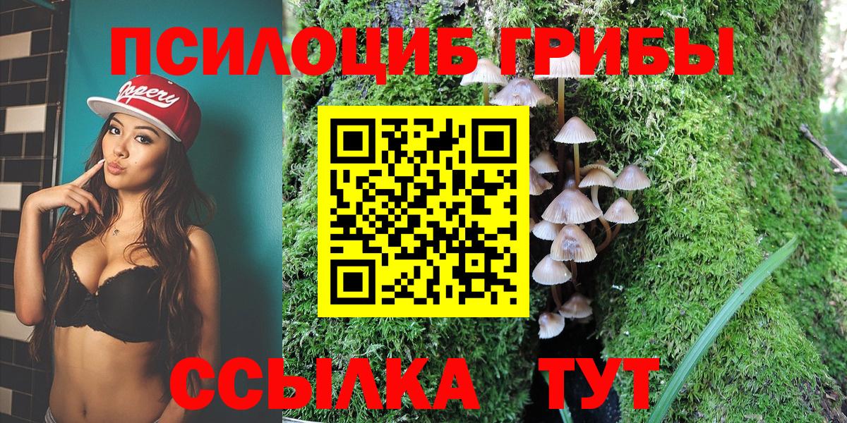 Кувандык  наркошоп  Вход с VPN  Псилоцибиновые грибы MAGIC MUSHROOMS 